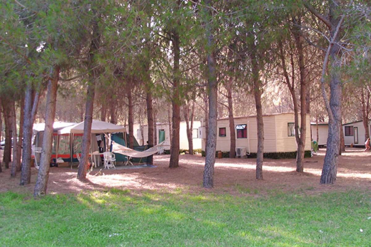 Iscrixedda Sardinië - Lotzorai visuel 5/8