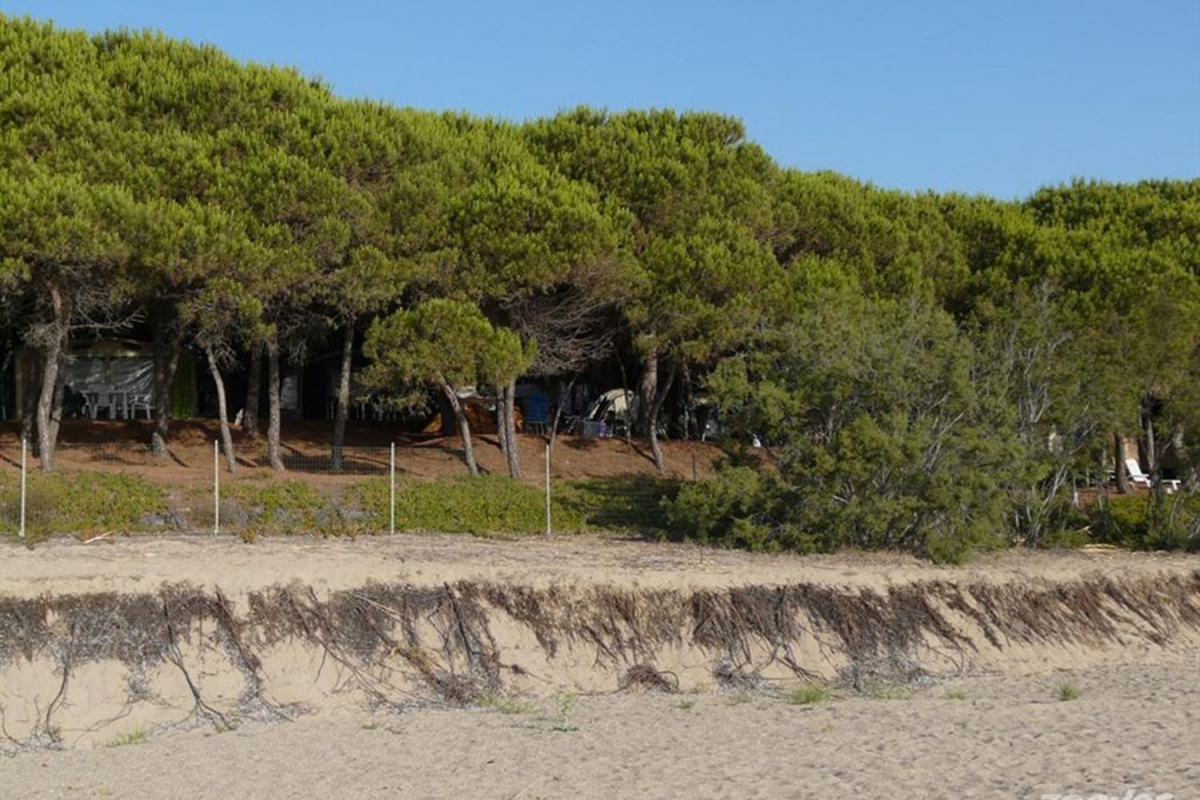 Iscrixedda Sardinië - Lotzorai visuel 4/8