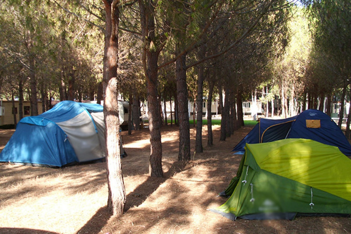 Iscrixedda Sardinië - Lotzorai visuel 6/8