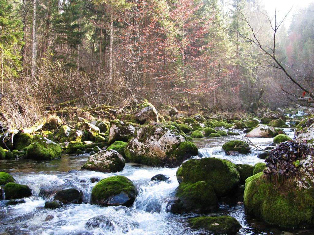 Kamp Jelincic Gorizia - Bovec visuel 3/3 Kamp Jelincic Gorizia - Bovec visuel 3/3
