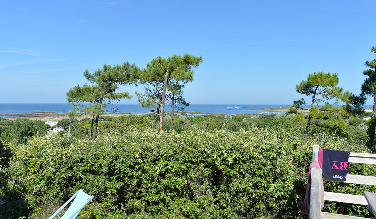 L'Anse des Pins Poitou-Charentes - Saint-Georges-d'Oléron visuel 4/15