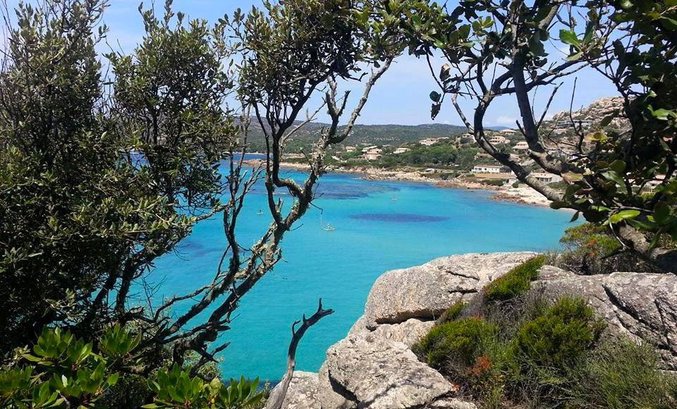 L'Avéna Corsica - Sartène visuel 2/8 L'Avéna Corsica - Sartène visuel 2/8