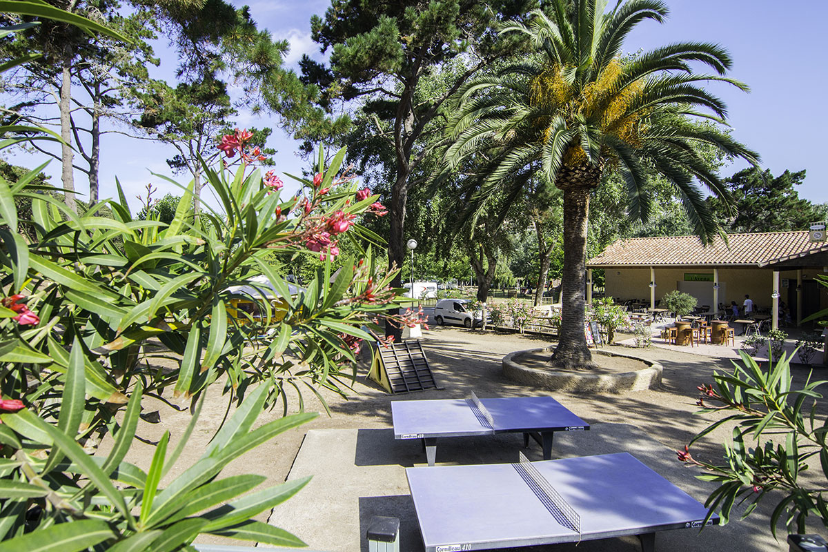 L'Avéna Corsica - Sartène visuel 6/8 L'Avéna Corsica - Sartène visuel 6/8