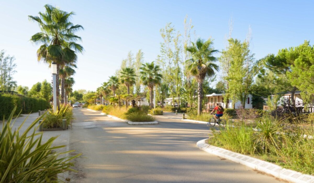 L'Espiguette Languedoc-Roussillon - Le Grau-du-Roi visuel 12/14 L'Espiguette Languedoc-Roussillon - Le Grau-du-Roi visuel 12/14