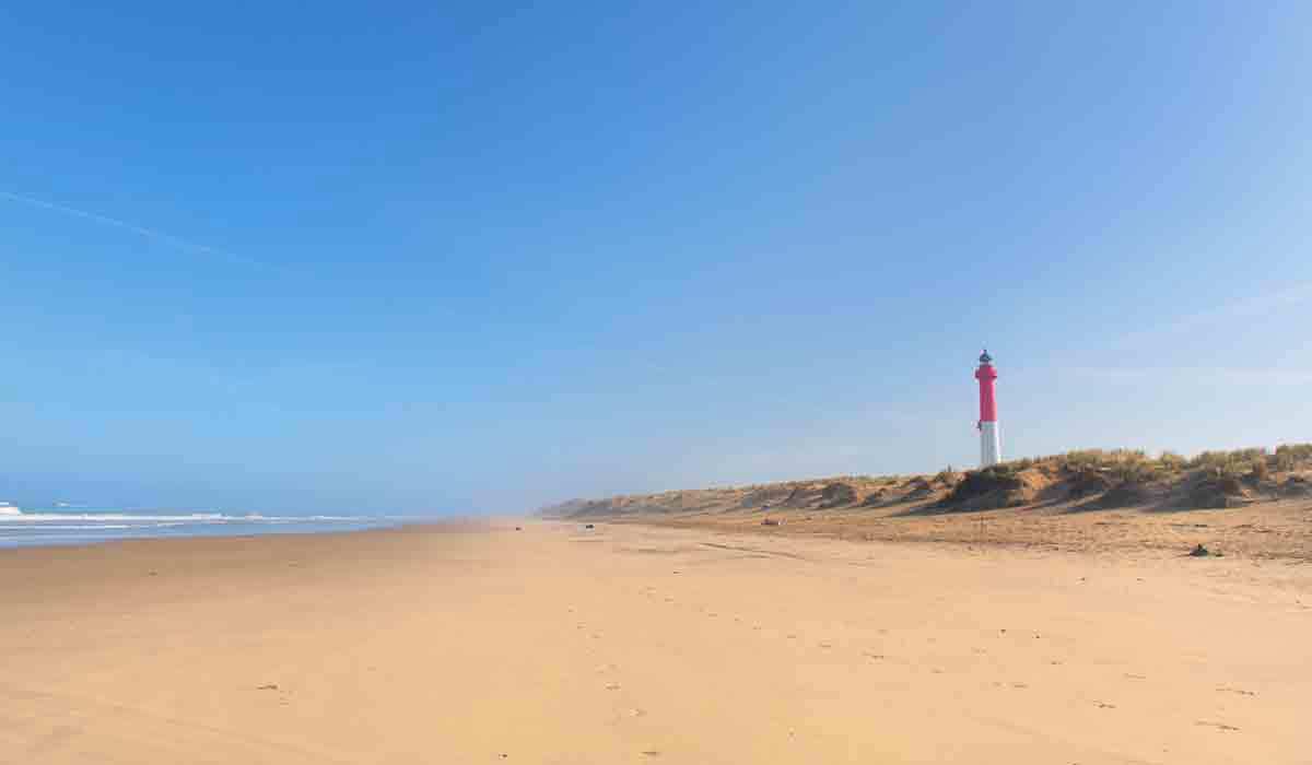 L'Orée du Bois Poitou-Charentes - Les Mathes-La Palmyre visuel 28/28 L'Orée du Bois Poitou-Charentes - Les Mathes-La Palmyre visuel 28/28