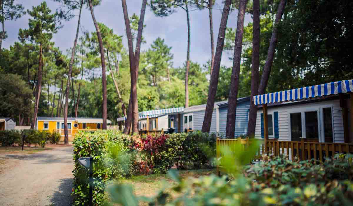 L'Orée du Bois Poitou-Charentes - Les Mathes-La Palmyre visuel 10/28 L'Orée du Bois Poitou-Charentes - Les Mathes-La Palmyre visuel 10/28