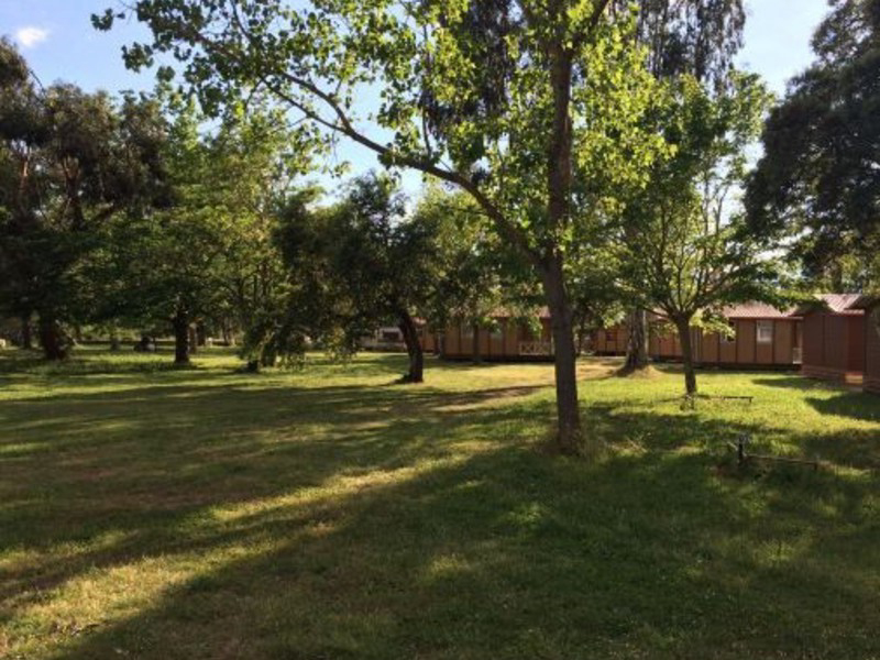 L'oso Corsica - Porto-Vecchio visuel 4/4