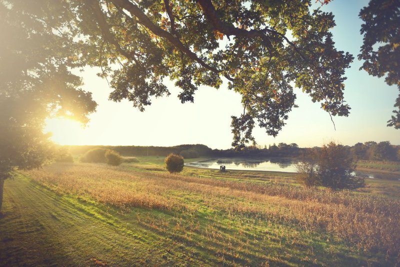 Domaine la Chouette Cabane Pays de Loire - Pommerieux visuel 13/18 Domaine la Chouette Cabane Pays de Loire - Pommerieux visuel 13/18