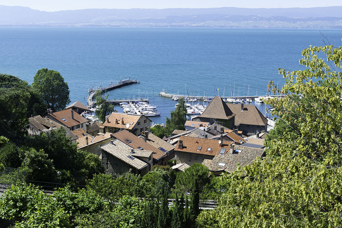La Dranse Rhône-Alpes - Thonon-les-Bains visuel 4/8 La Dranse Rhône-Alpes - Thonon-les-Bains visuel 4/8