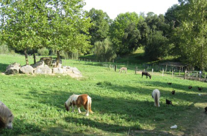 La Ferme des 4 Chênes Aquitaine - Urt visuel 5/7 La Ferme des 4 Chênes Aquitaine - Urt visuel 5/7
