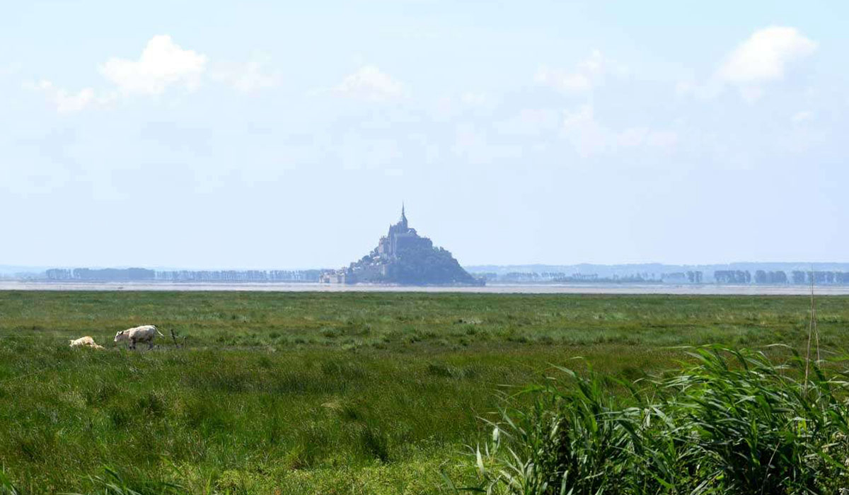 La Ferme de la Moriciere Laag-Normandië - Sartilly visuel 1/5 La Ferme de la Moriciere Laag-Normandië - Sartilly visuel 1/5