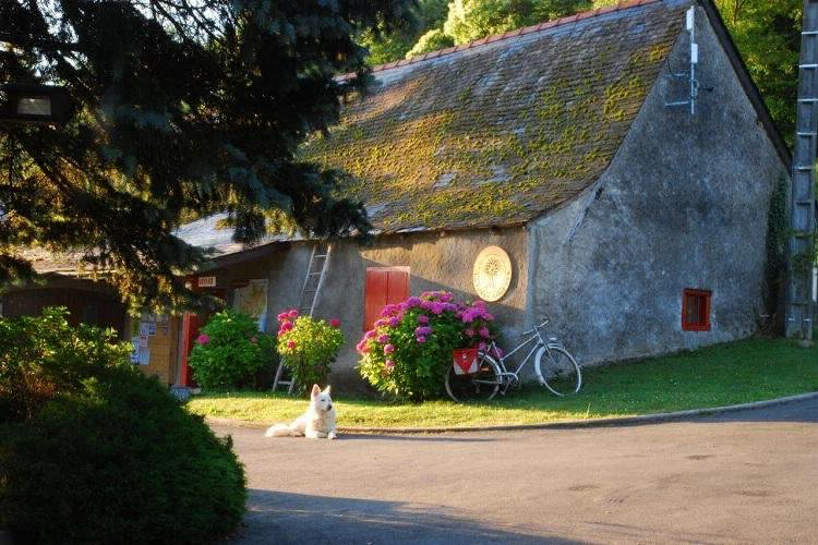 La Forêt Lourdes Midi-Pyreneën - Lourdes visuel 8/9