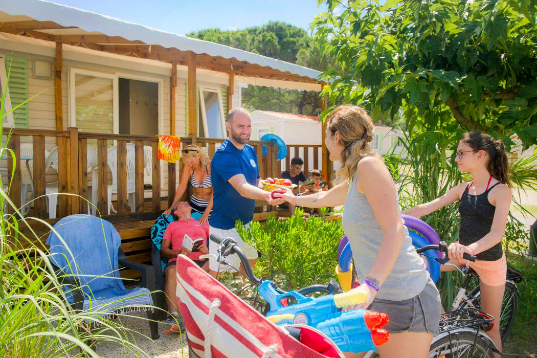 La Marine Languedoc-Roussillon - Le Grau-du-Roi visuel 11/12 La Marine Languedoc-Roussillon - Le Grau-du-Roi visuel 11/12