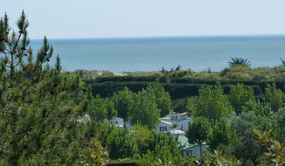 La Parée du Jonc Pays de Loire - Saint-Jean-de-Monts visuel 6/17