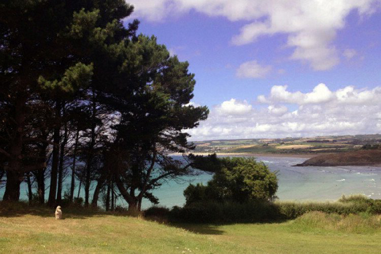 La Plage De Pors Ar Vag Bretagne - Plomodiern visuel 9/14 La Plage De Pors Ar Vag Bretagne - Plomodiern visuel 9/14