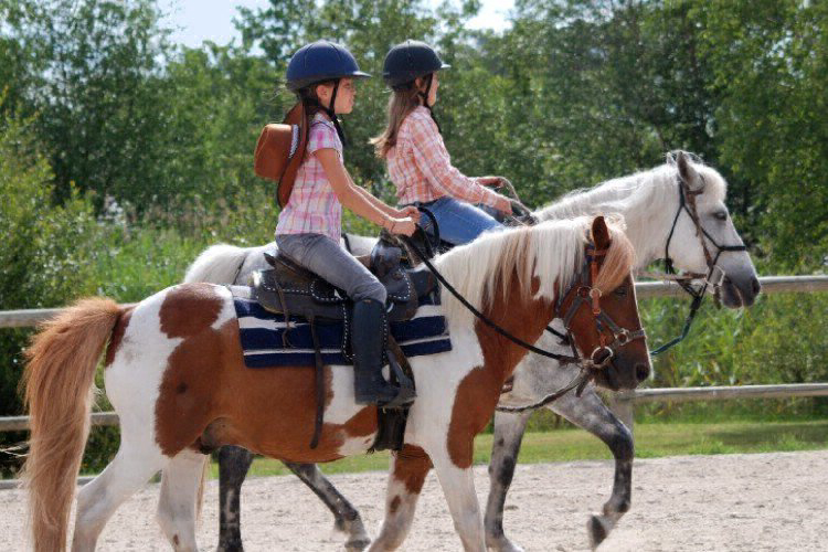 La Rotonde Le Village Western - Aquitaine - Hourtin visuel 8/13 La Rotonde Le Village Western - Aquitaine - Hourtin visuel 8/13