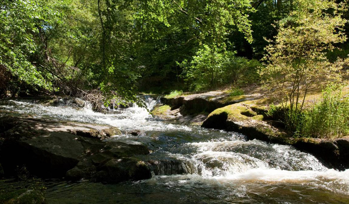 La ferme des Champeaux Limouqin - Saint-Amand-le-Petit visuel 1/5
