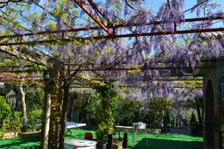 Las Lomas Andalousië - Güejar Sierra visuel 6/10