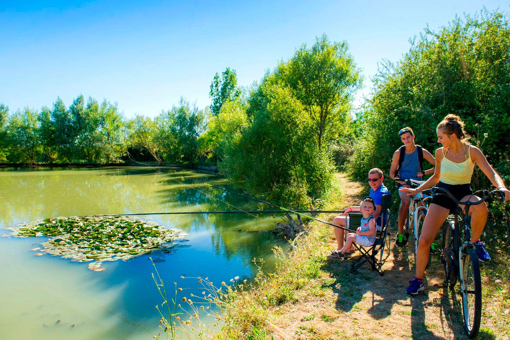 Le Clos Cottet Pays de Loire - Hoeken visuel 6/9 Le Clos Cottet Pays de Loire - Hoeken visuel 6/9