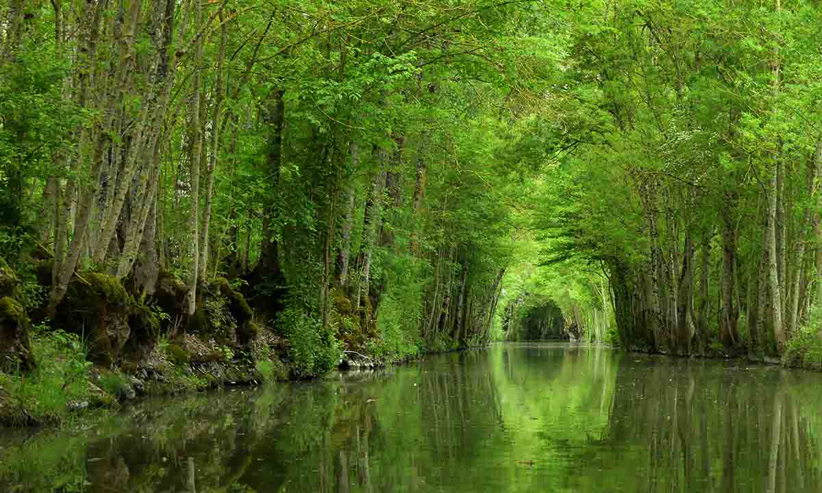 Le Lidon Poitou-Charentes - Saint-Hilaire-la-Palud visuel 6/20 Le Lidon Poitou-Charentes - Saint-Hilaire-la-Palud visuel 6/20
