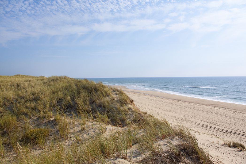 Le Paradis Aquitaine - Carcans visuel 7/13