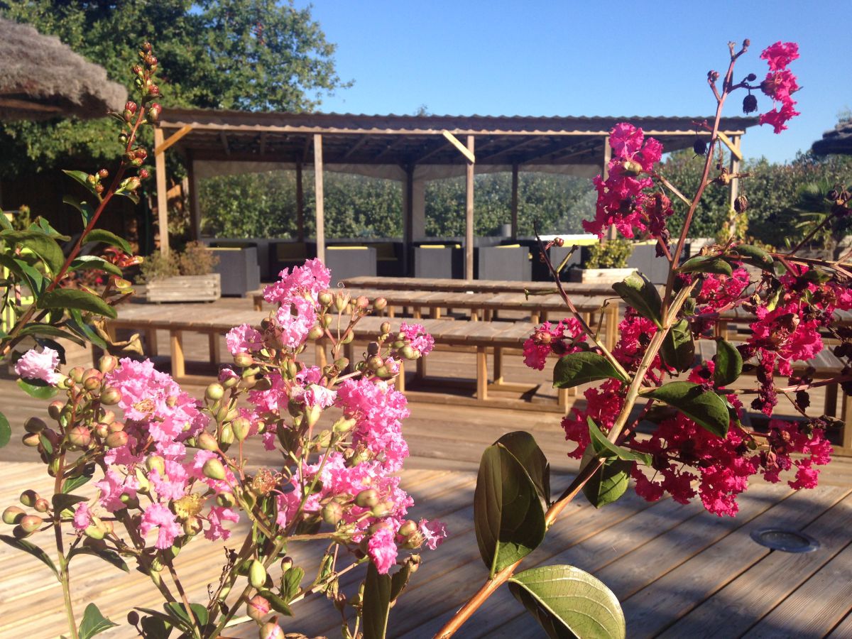 Le Paradis Aquitaine - Carcans visuel 4/13