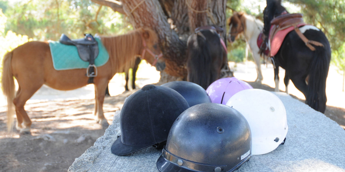 Le Paradis Pays de Loire - Talmont-Saint-Hilaire visuel 18/19 Le Paradis Pays de Loire - Talmont-Saint-Hilaire visuel 18/19