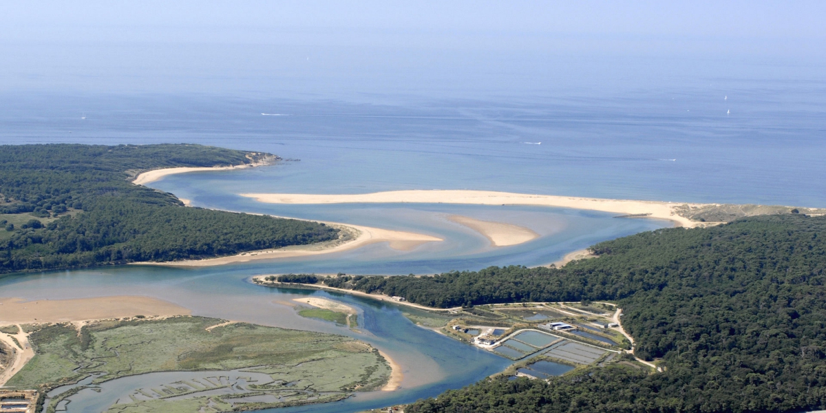 Le Paradis Pays de Loire - Talmont-Saint-Hilaire visuel 3/19 Le Paradis Pays de Loire - Talmont-Saint-Hilaire visuel 3/19