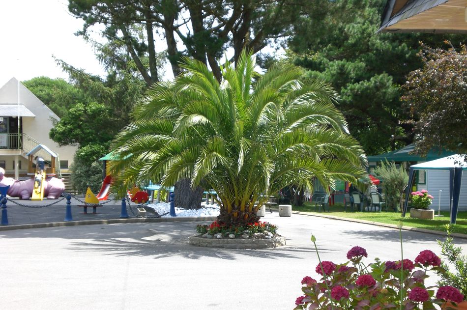 Le Raguenès Plage Bretagne - Névez visuel 9/9 Le Raguenès Plage Bretagne - Névez visuel 9/9