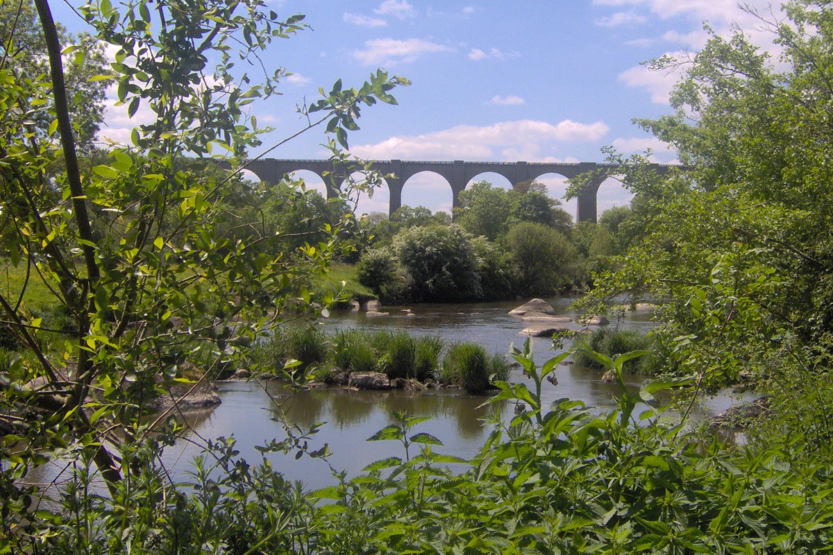 Le Rouge Gorge Pays de Loire - Saint-Laurent-sur-Sèvre visuel 5/11 Le Rouge Gorge Pays de Loire - Saint-Laurent-sur-Sèvre visuel 5/11