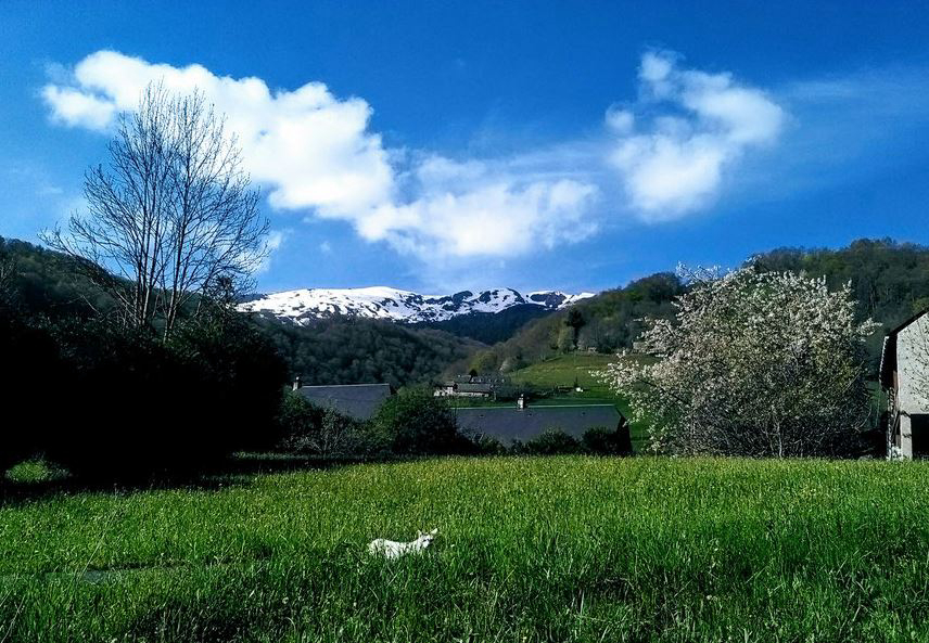 Le Saint Roch Midi-Pyreneën - Campan visuel 1/1 Le Saint Roch Midi-Pyreneën - Campan visuel 1/1