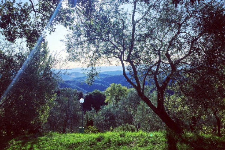 Le Soline Toscane - Casciano visuel 8/9 Le Soline Toscane - Casciano visuel 8/9