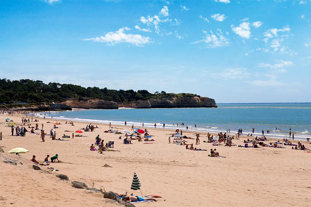 Les Catalpas Poitou-Charentes - Saint-Georges-de-Didonne visuel 2/7 Les Catalpas Poitou-Charentes - Saint-Georges-de-Didonne visuel 2/7
