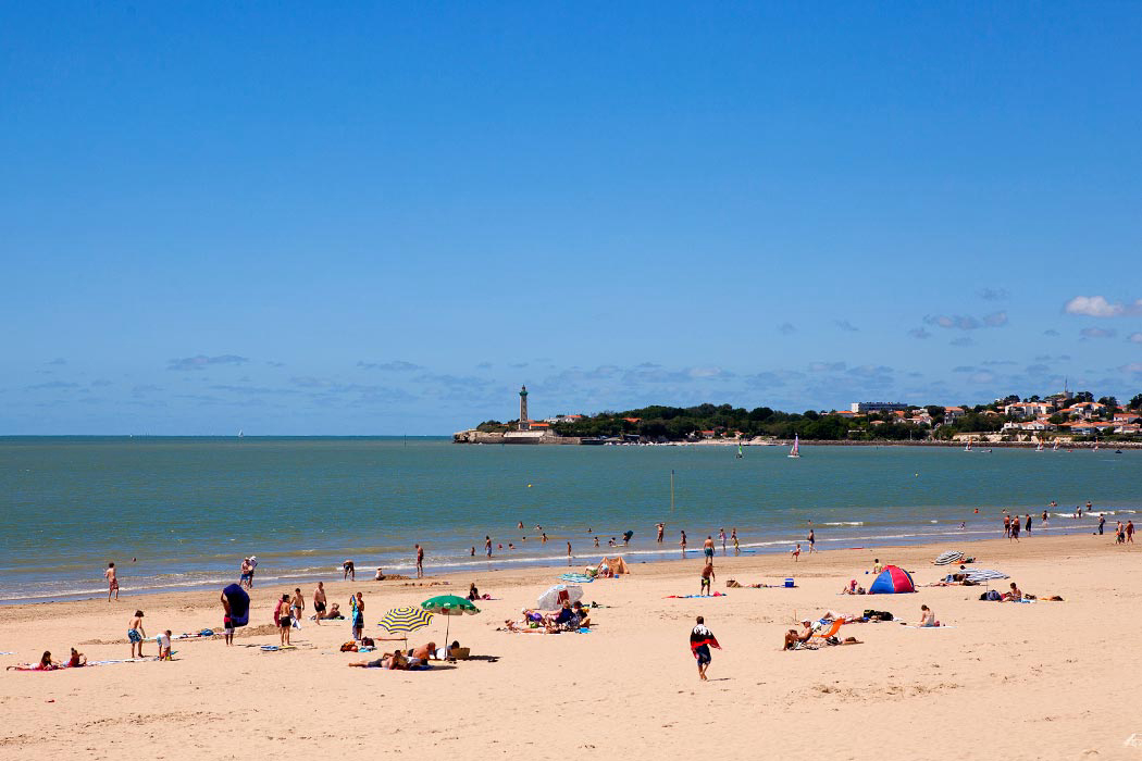 Les Catalpas Poitou-Charentes - Saint-Georges-de-Didonne visuel 1/7 Les Catalpas Poitou-Charentes - Saint-Georges-de-Didonne visuel 1/7
