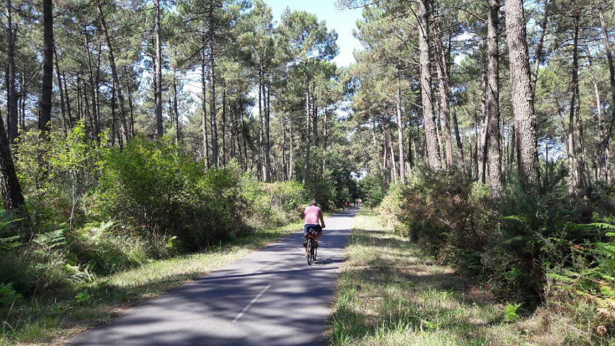 Les Cigales Aquitaine - Moliets-et-Maa visuel 7/10 Les Cigales Aquitaine - Moliets-et-Maa visuel 7/10
