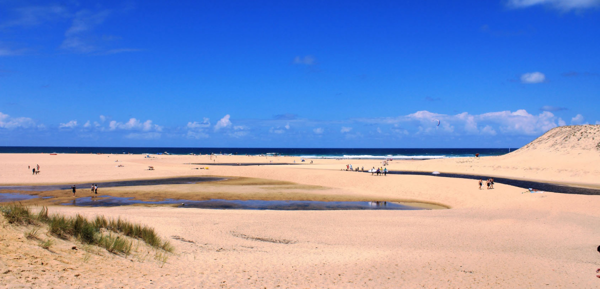 Les Cigales Aquitaine - Moliets-et-Maa visuel 2/10 Les Cigales Aquitaine - Moliets-et-Maa visuel 2/10
