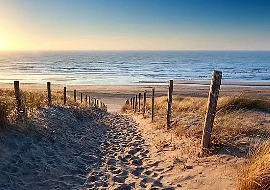Les Cigales Aquitaine - Moliets-et-Maa visuel 10/10 Les Cigales Aquitaine - Moliets-et-Maa visuel 10/10