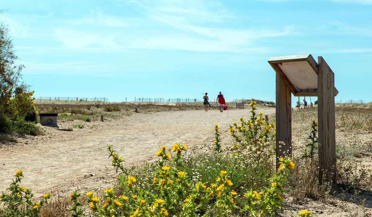 Les Muriers Languedoc-Roussillon - Vendres visuel 13/14 Les Muriers Languedoc-Roussillon - Vendres visuel 13/14