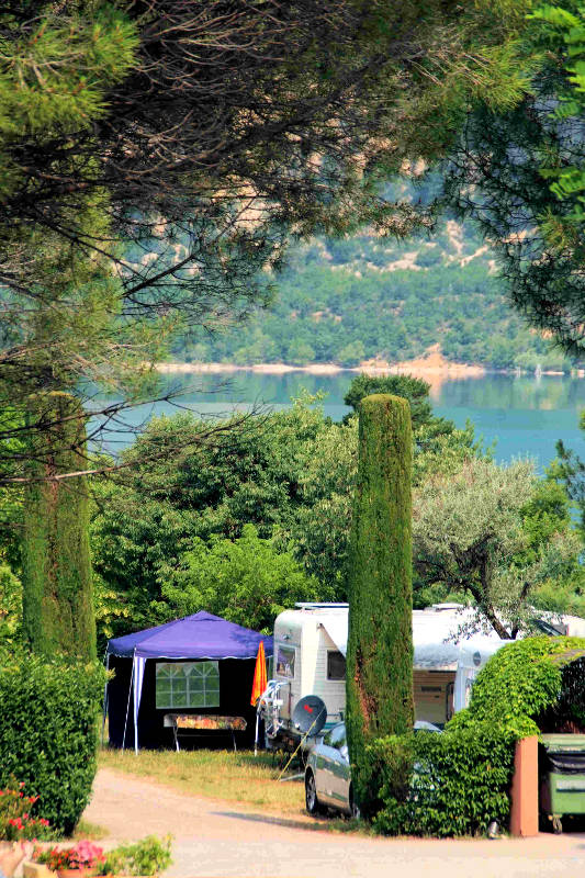 Les Pins Provence-Alpes-Côte d'Azur - Salles-sur-Verdon visuel 10/10 Les Pins Provence-Alpes-Côte d'Azur - Salles-sur-Verdon visuel 10/10