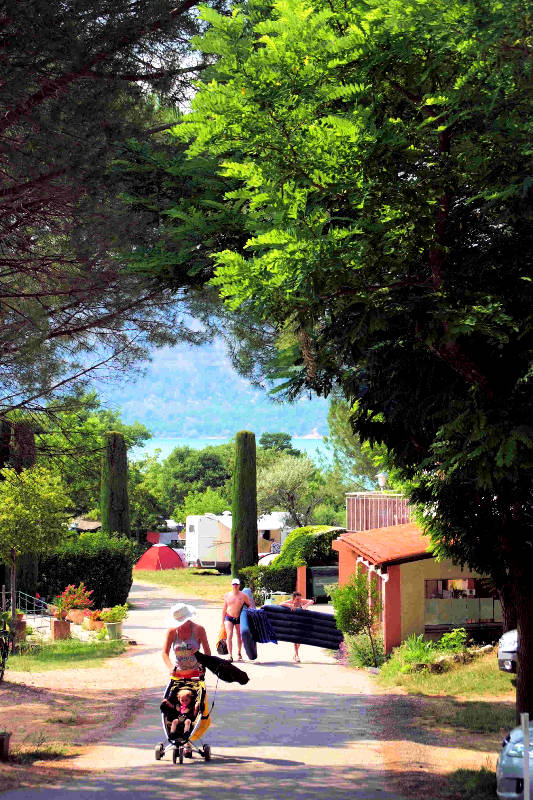 Les Pins Provence-Alpes-Côte d'Azur - Salles-sur-Verdon visuel 8/10 Les Pins Provence-Alpes-Côte d'Azur - Salles-sur-Verdon visuel 8/10