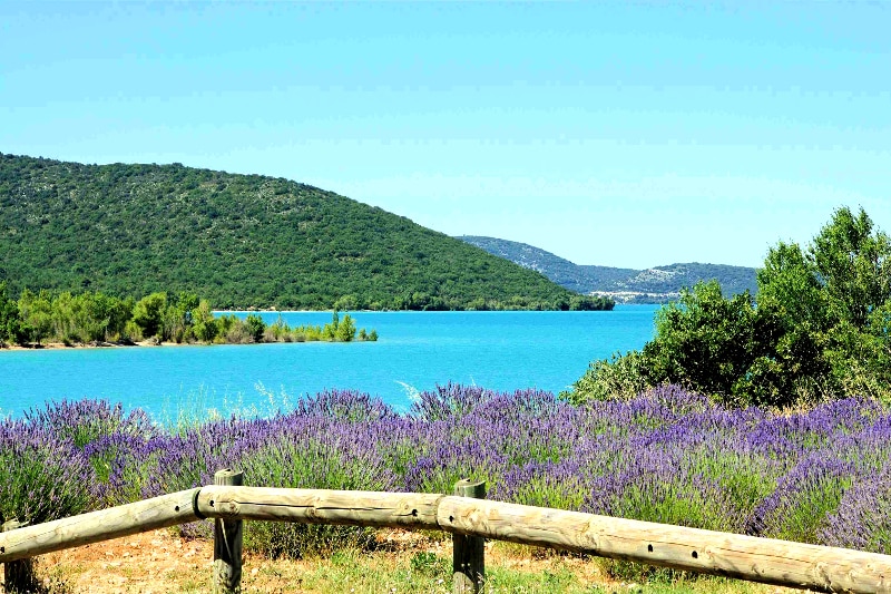 Les Pins Provence-Alpes-Côte d'Azur - Salles-sur-Verdon visuel 3/10 Les Pins Provence-Alpes-Côte d'Azur - Salles-sur-Verdon visuel 3/10