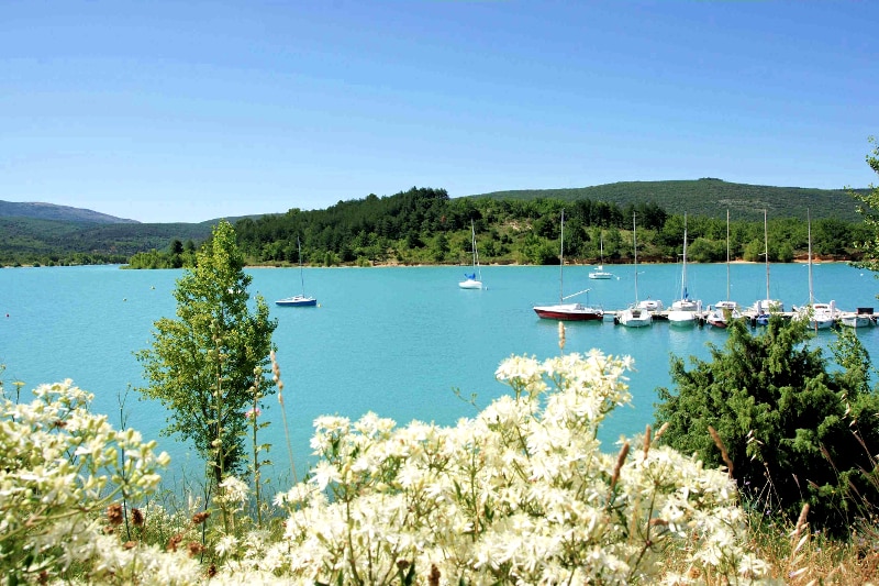 Les Pins Provence-Alpes-Côte d'Azur - Salles-sur-Verdon visuel 6/10 Les Pins Provence-Alpes-Côte d'Azur - Salles-sur-Verdon visuel 6/10