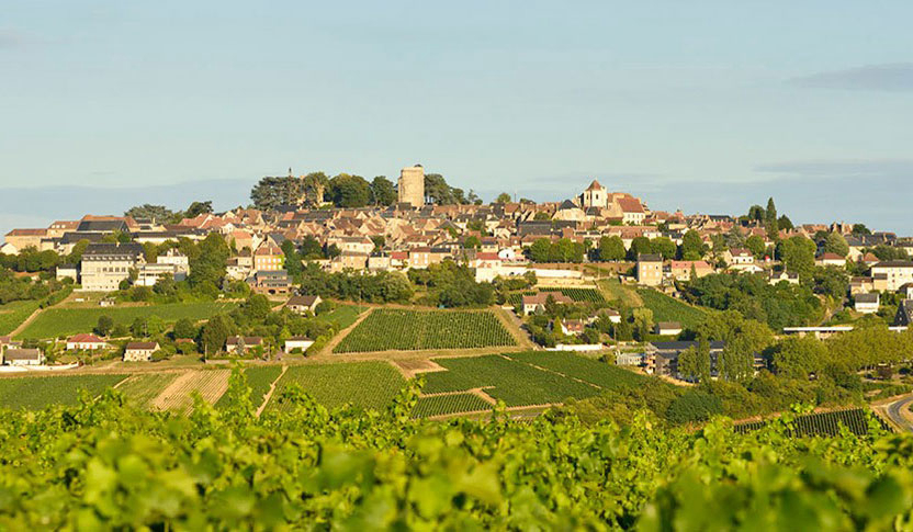 Les Portes de Sancerre Groot-Centrum - Sint-Satur visuel 6/7 Les Portes de Sancerre Groot-Centrum - Sint-Satur visuel 6/7
