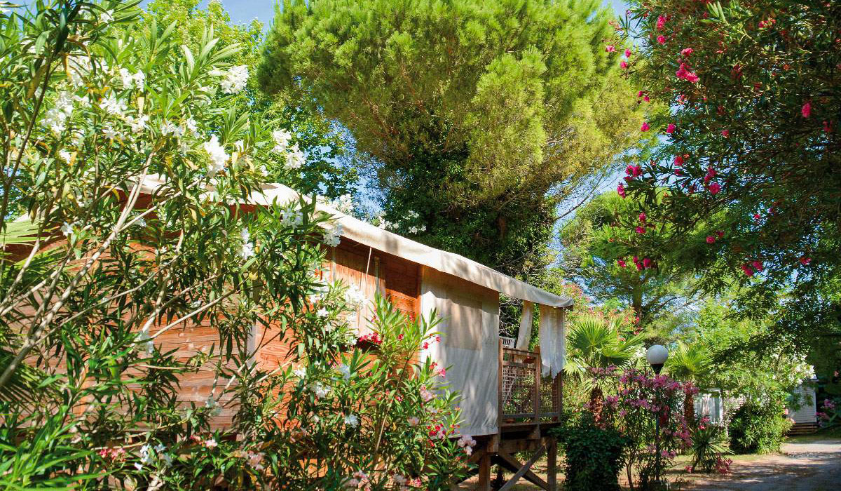 Les Pêcheurs Provence-Alpes-Côte d'Azur - Roquebrune-sur Argens visuel 5/21 Les Pêcheurs Provence-Alpes-Côte d'Azur - Roquebrune-sur Argens visuel 5/21