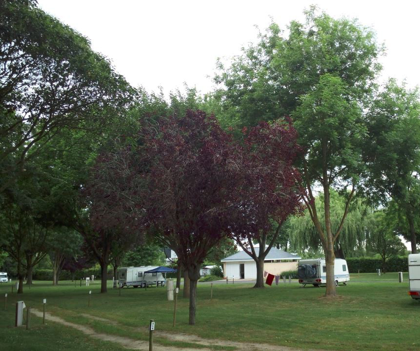Les Rives du Douet Pays de Loire - Doué-la-Fontaine visuel 1/1 Les Rives du Douet Pays de Loire - Doué-la-Fontaine visuel 1/1