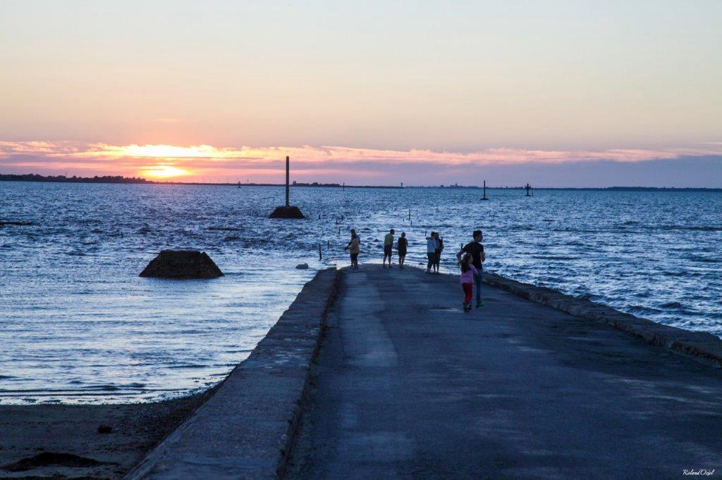 Les Roussieres Pays de Loire - Noirmoutier-en-Île visuel 8/8 Les Roussieres Pays de Loire - Noirmoutier-en-Île visuel 8/8