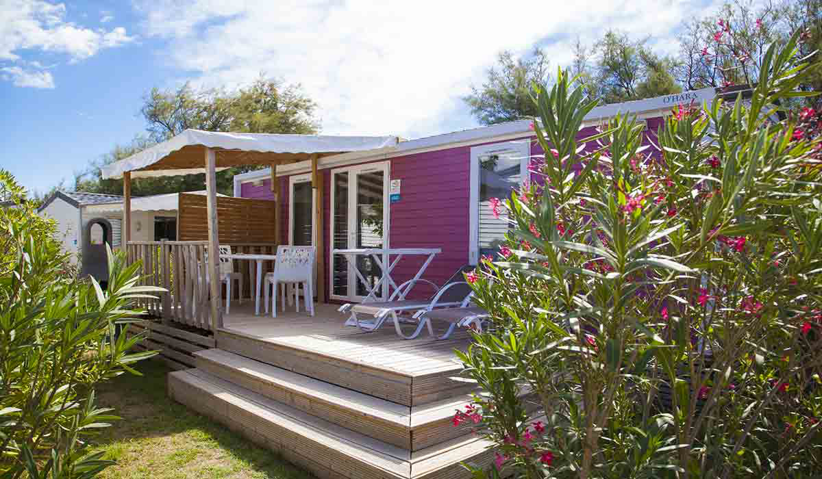 Les Tamaris Languedoc-Roussillon - Frontignan visuel 11/17