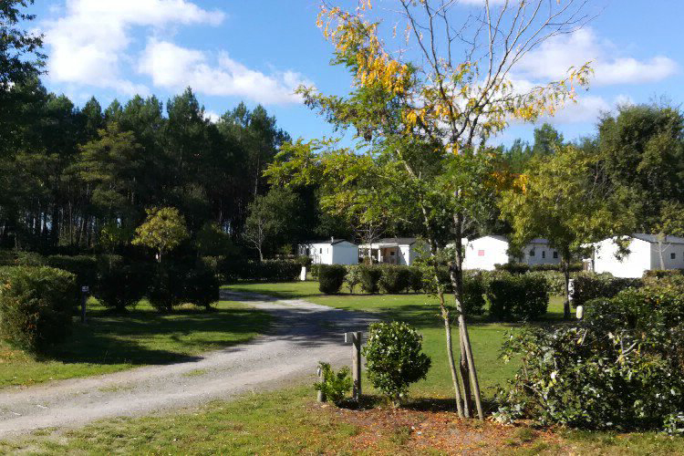 Lou Payou Aquitaine - Lesperon visuel 4/16