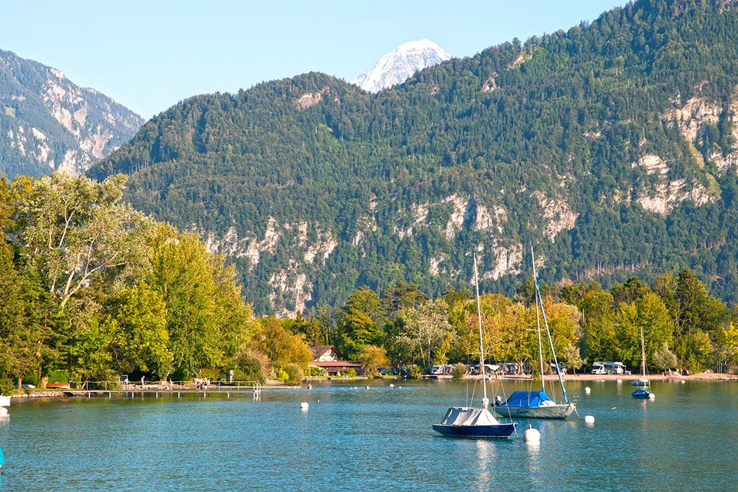 Manor Farm Espace Mittelland - Interlaken visuel 5/5 Manor Farm Espace Mittelland - Interlaken visuel 5/5
