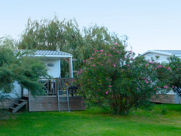 Le Miami Corsica - Poggio-Mezzana visuel 7/9 Le Miami Corsica - Poggio-Mezzana visuel 7/9